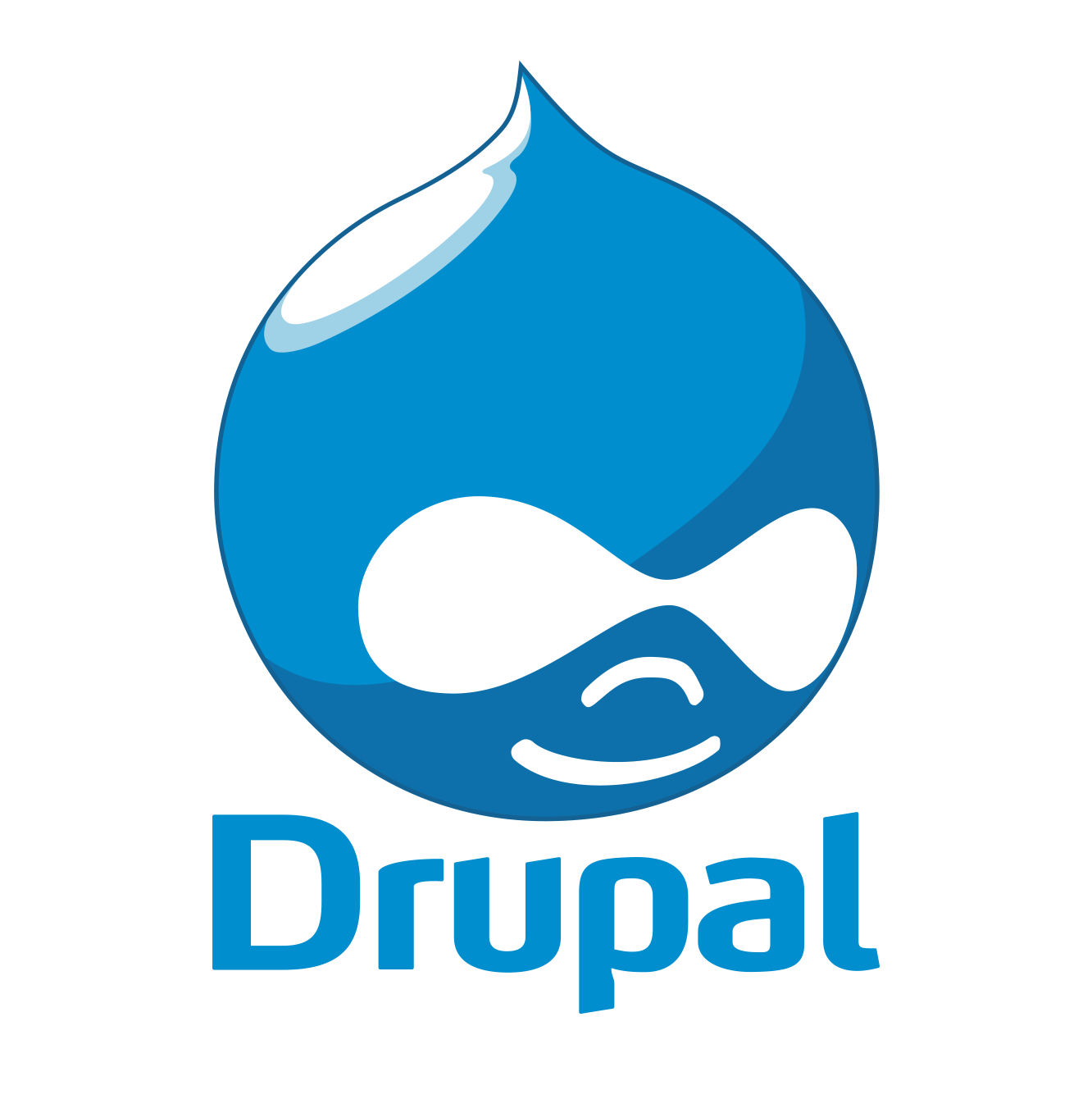 drupal website